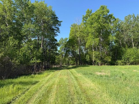 Hunting Land with Established Pond