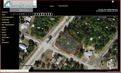Land, Dunnellon, FL