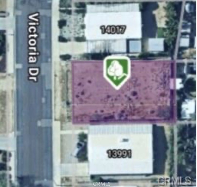 Picture 15
