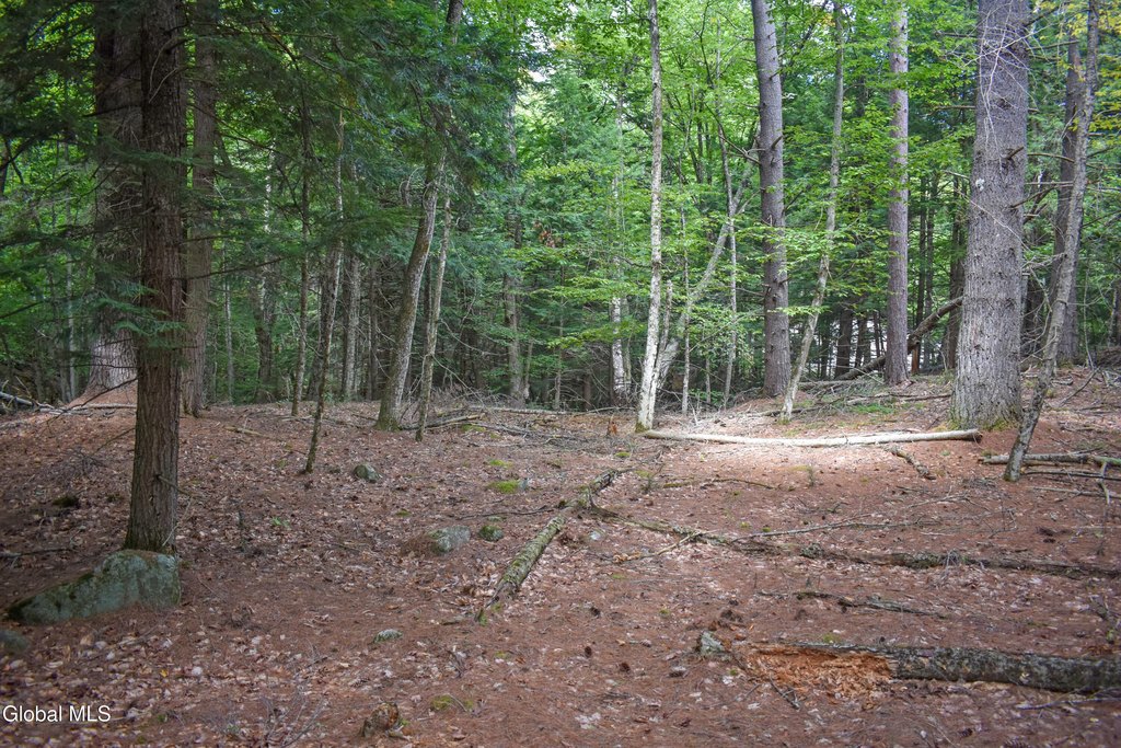 Picture 5