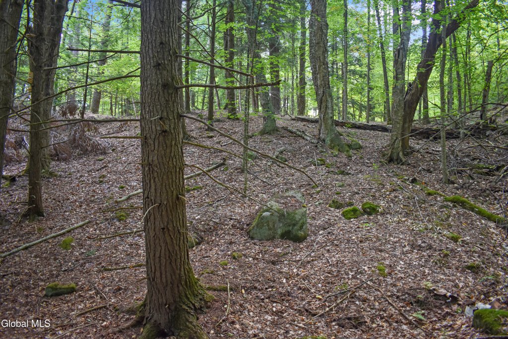 Picture 9