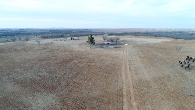 Picture 3
