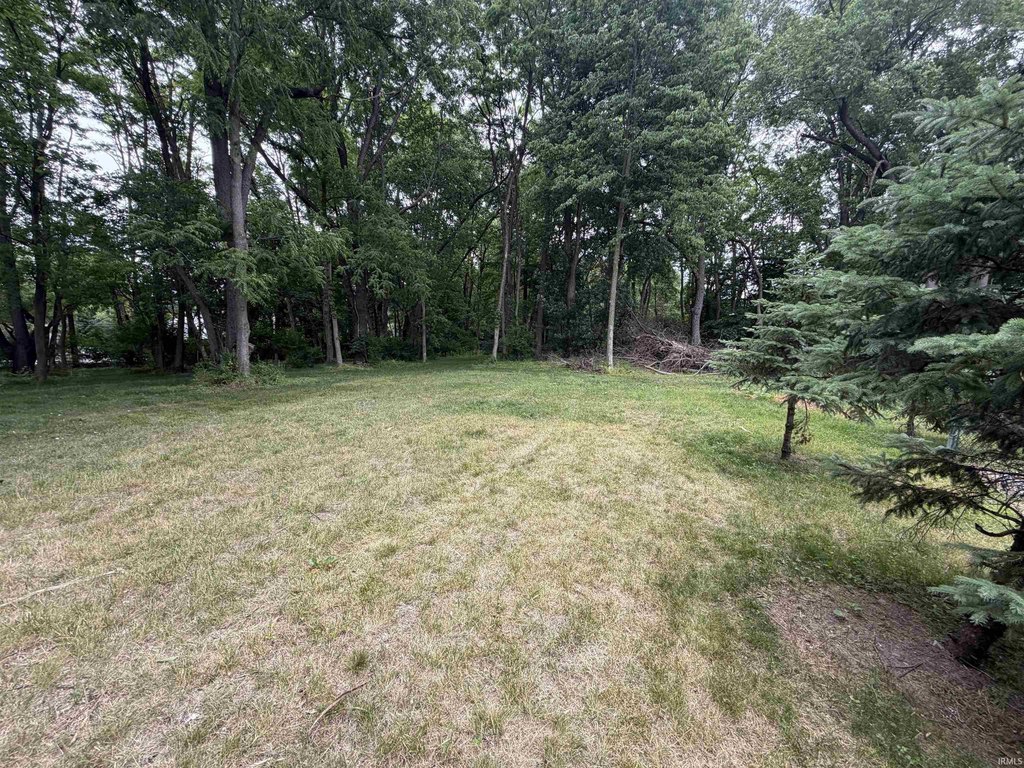 Picture 14