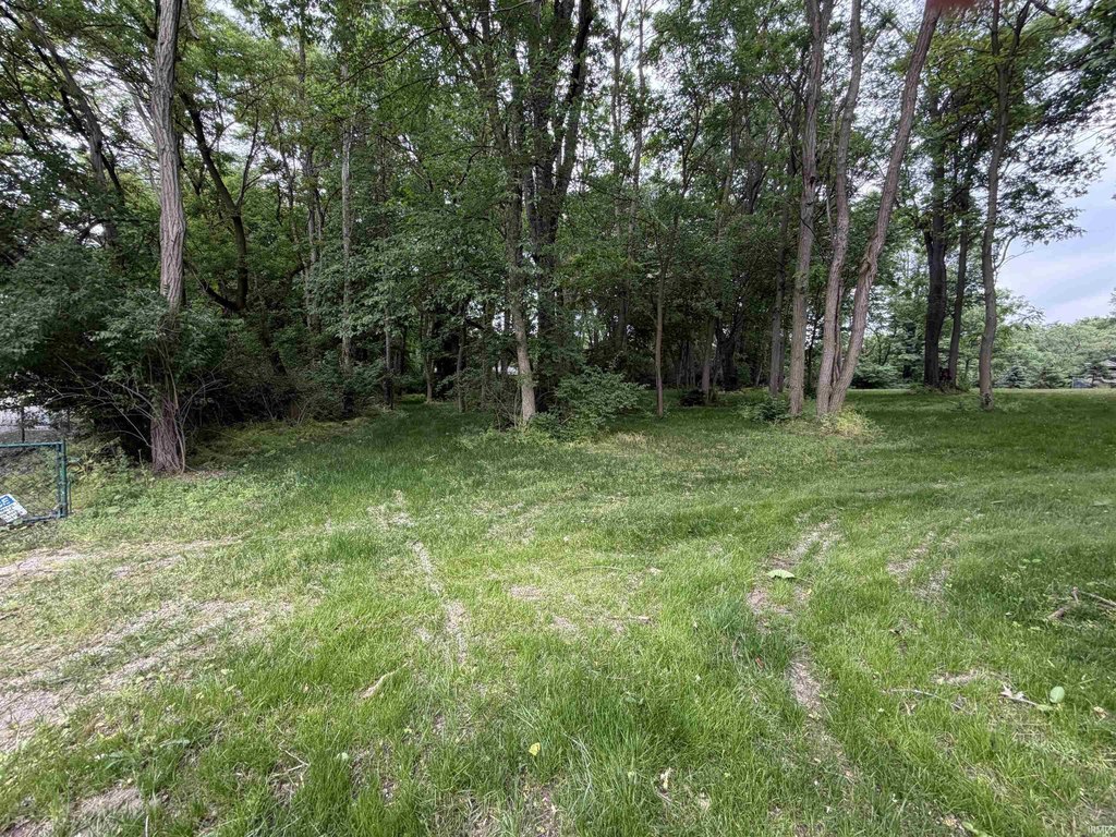 Picture 23