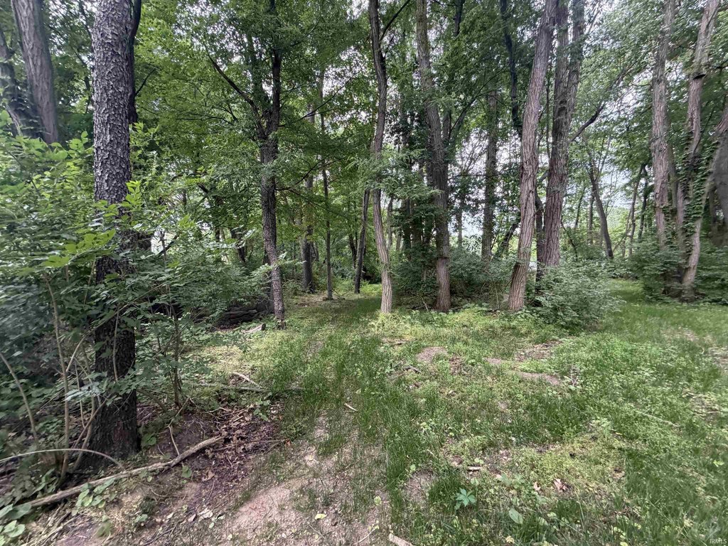 Picture 5