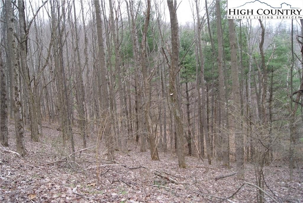 Wooded Land in Laurel Mountain Estates