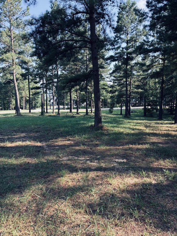 Picture 10