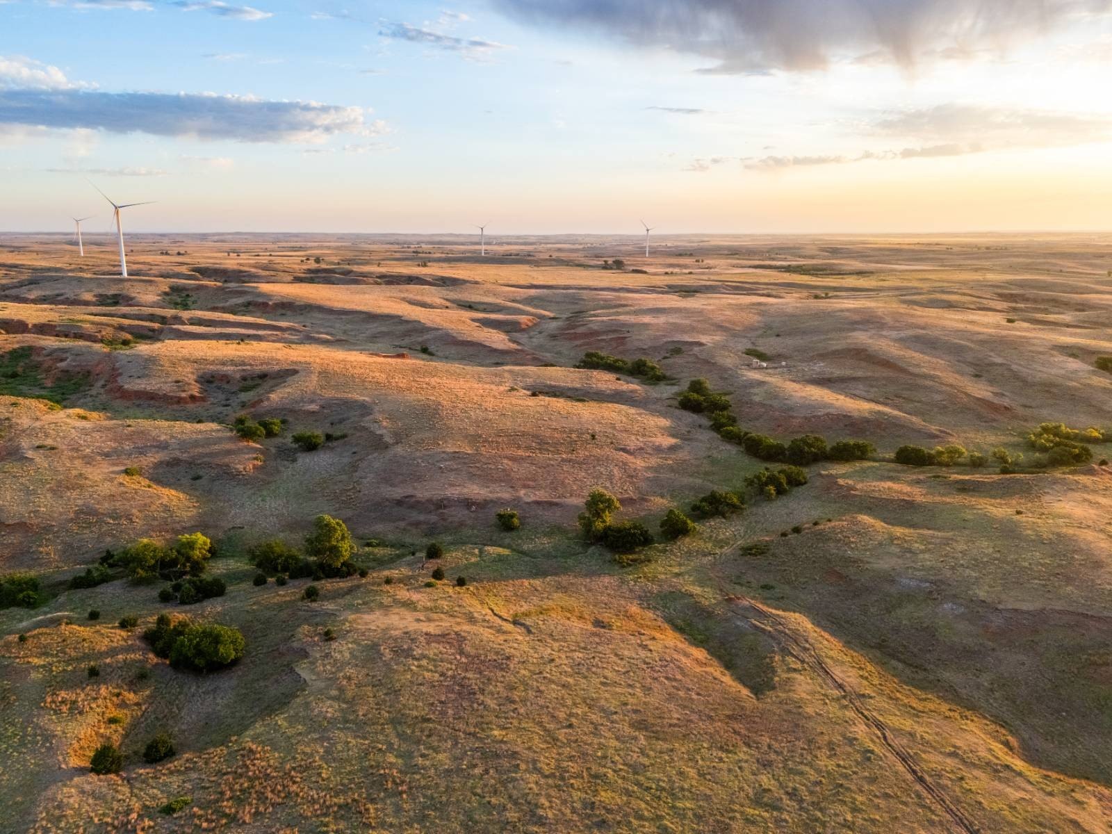 Premier Ranch and Recreational Land