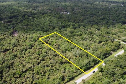 Vacant Land in Naples, FL