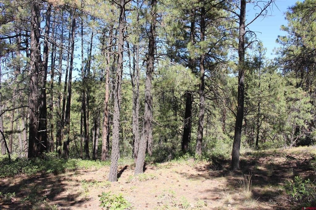 Land in Pagosa Springs, CO