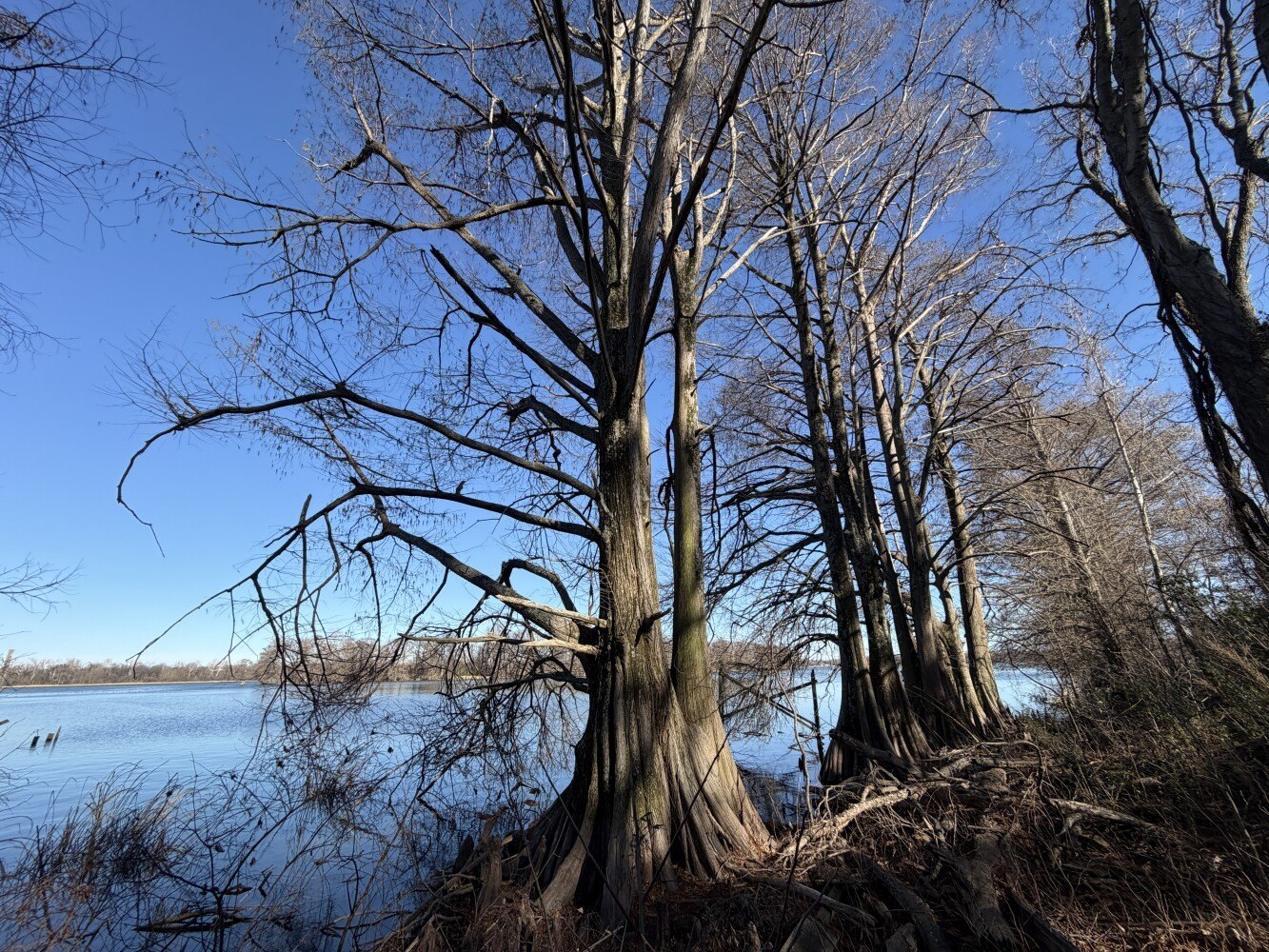 Waterfront Lot on Porter Lake
