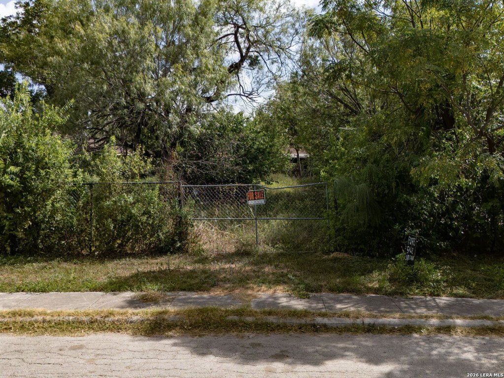 Picture 18