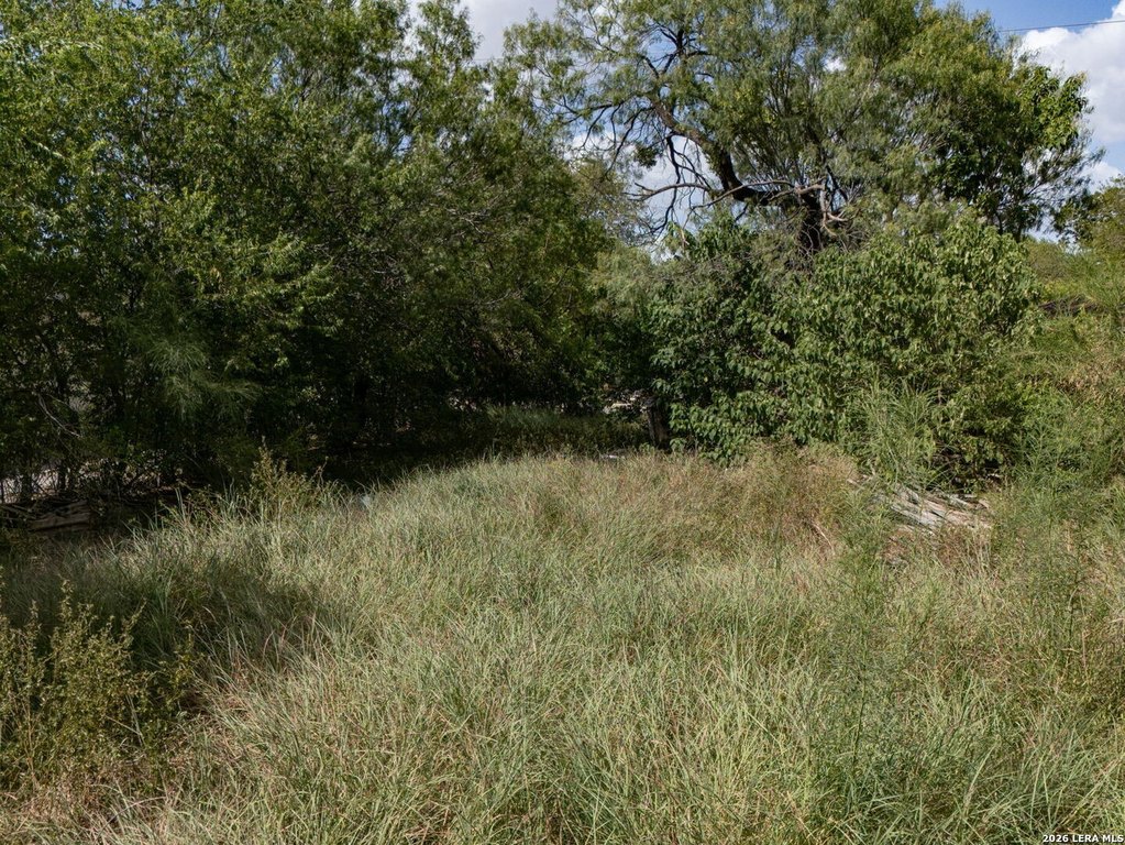 Picture 19