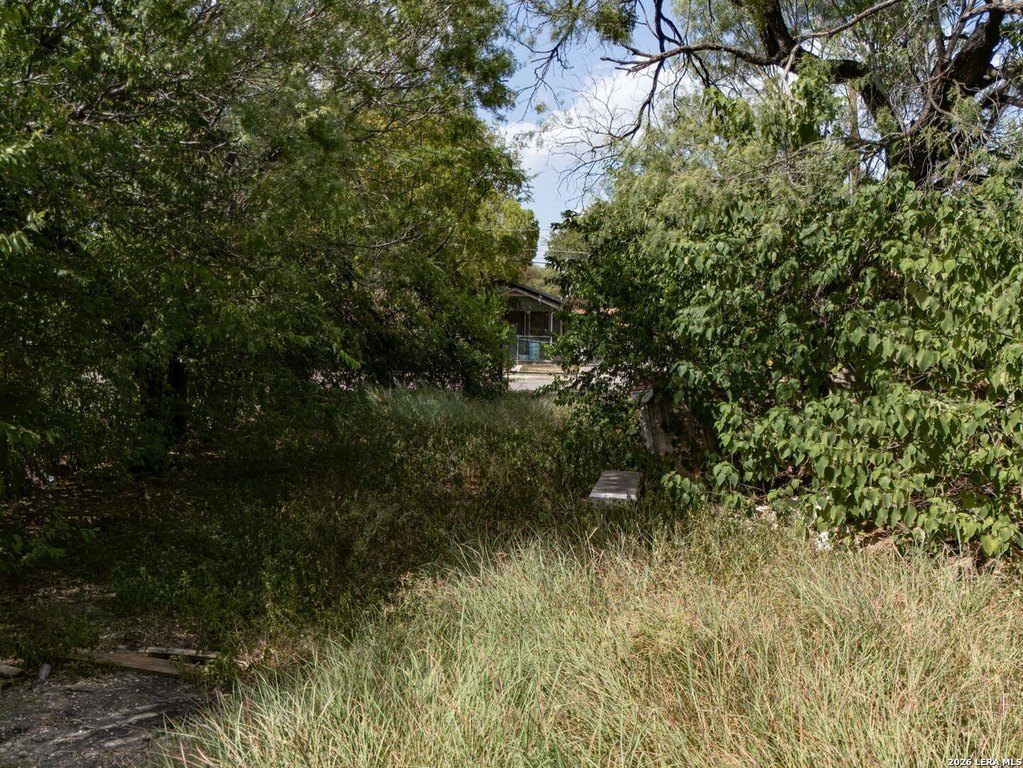 Picture 20