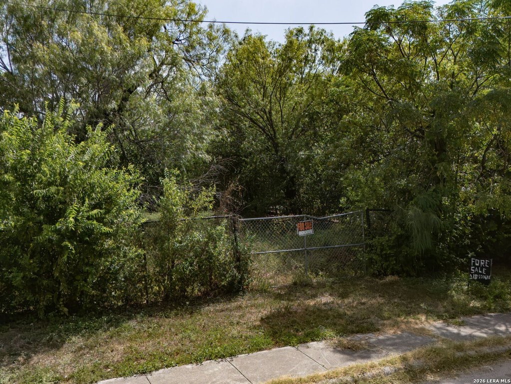Picture 17