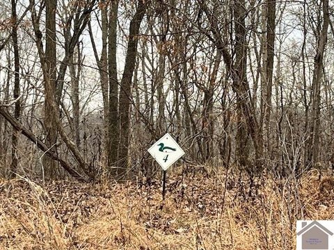 Wooded Restricted Subdivision Lot