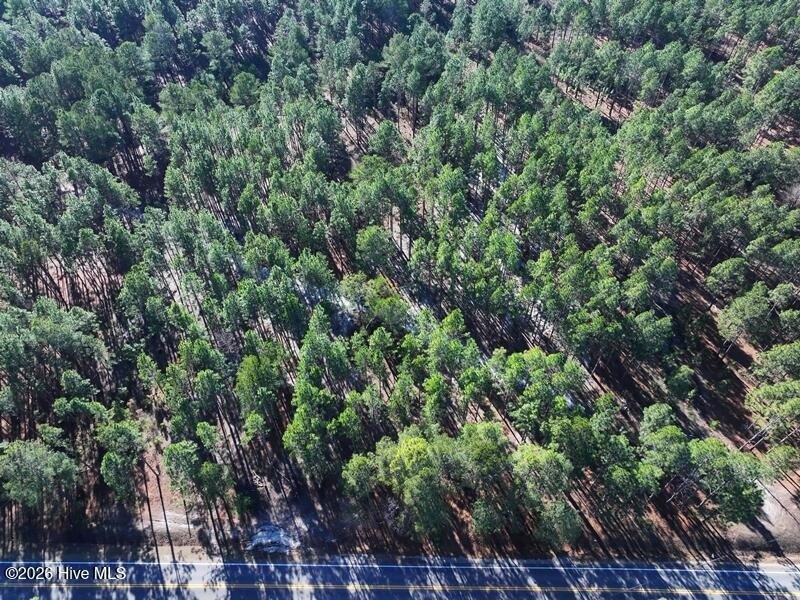 Heavily Wooded Residential Lot