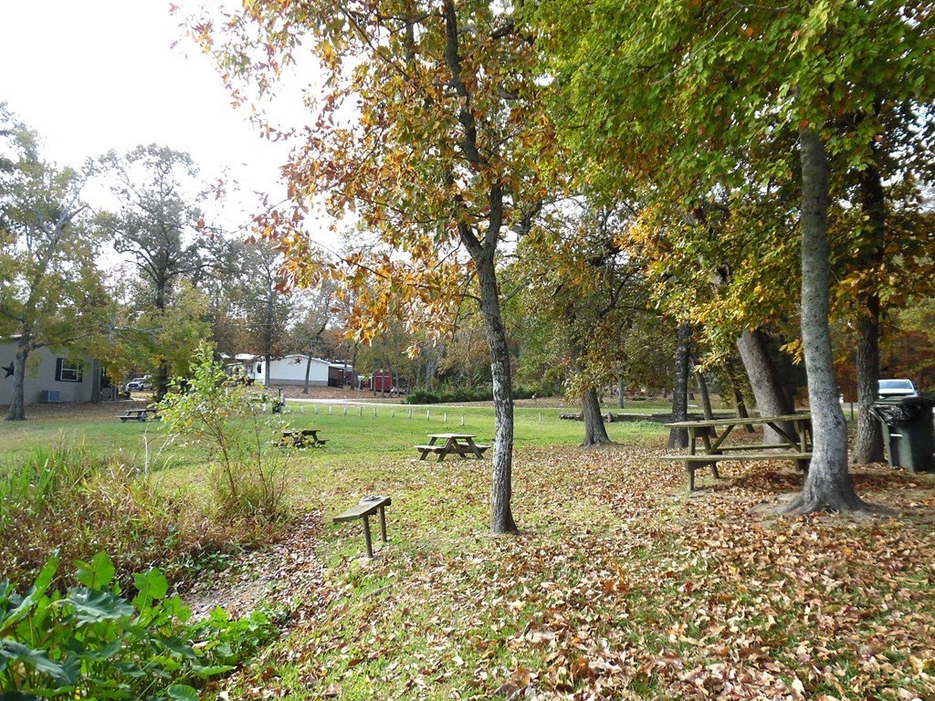 Picture 28