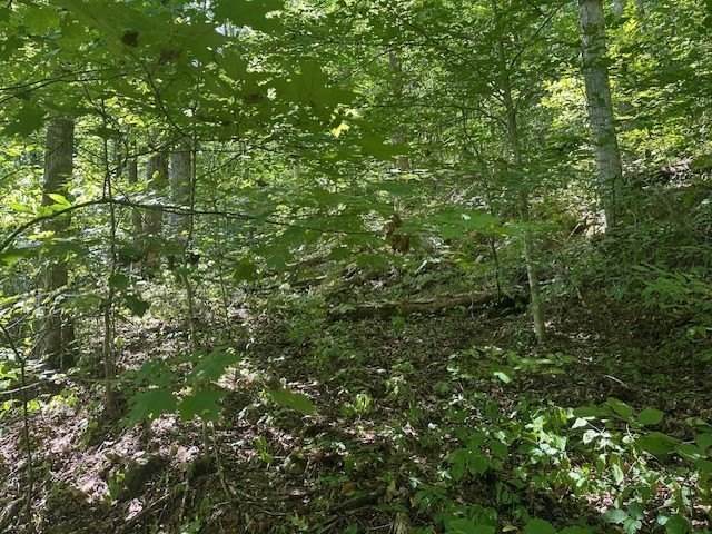 Picture 29
