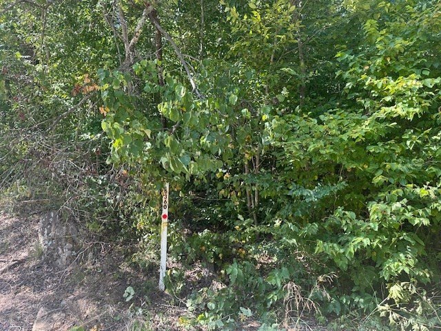 Picture 31