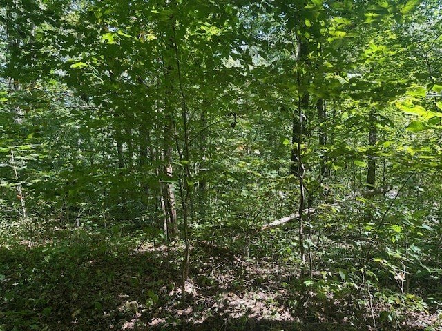 Picture 22