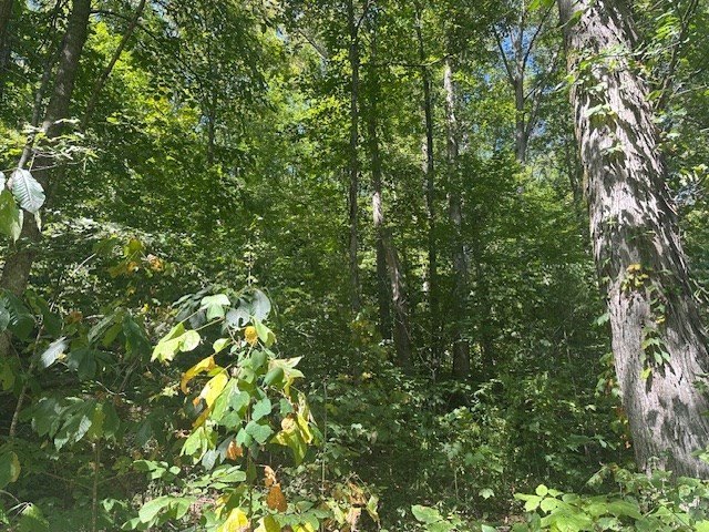 Picture 8