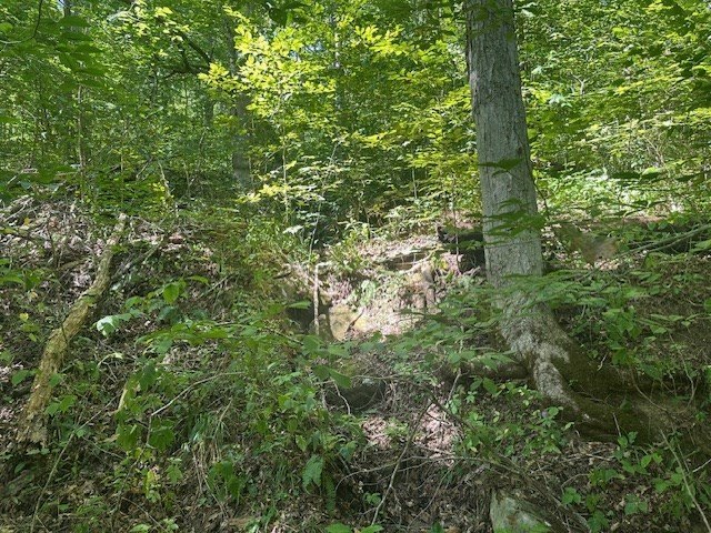 Picture 30