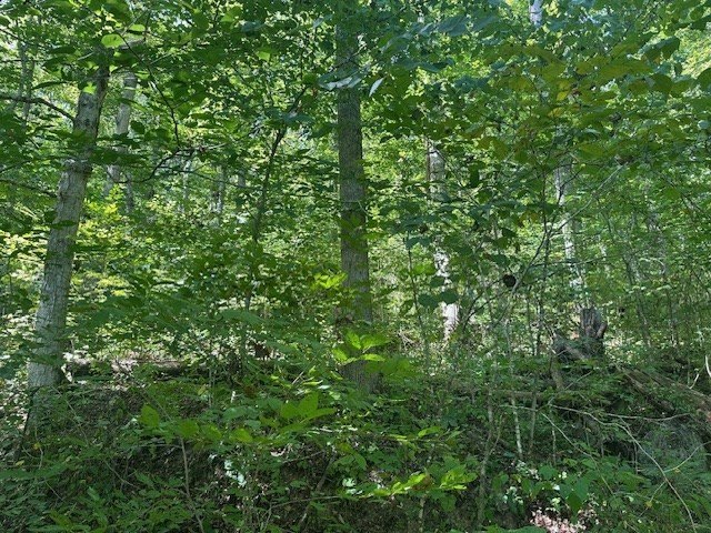 Picture 24