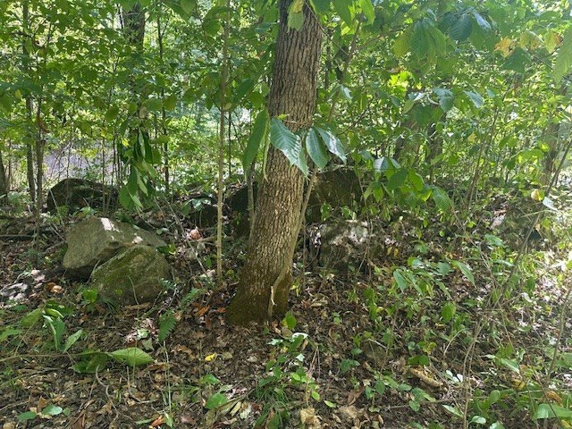 Picture 18