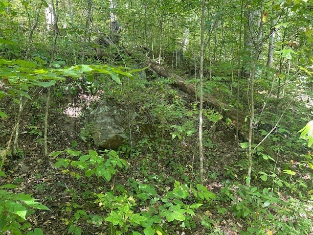 Picture 25