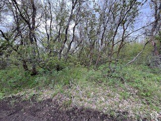 Picture 21