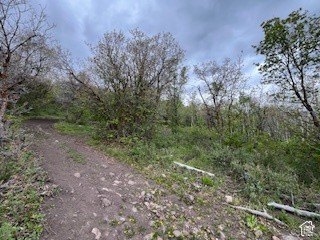 Picture 25