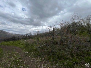 Picture 24