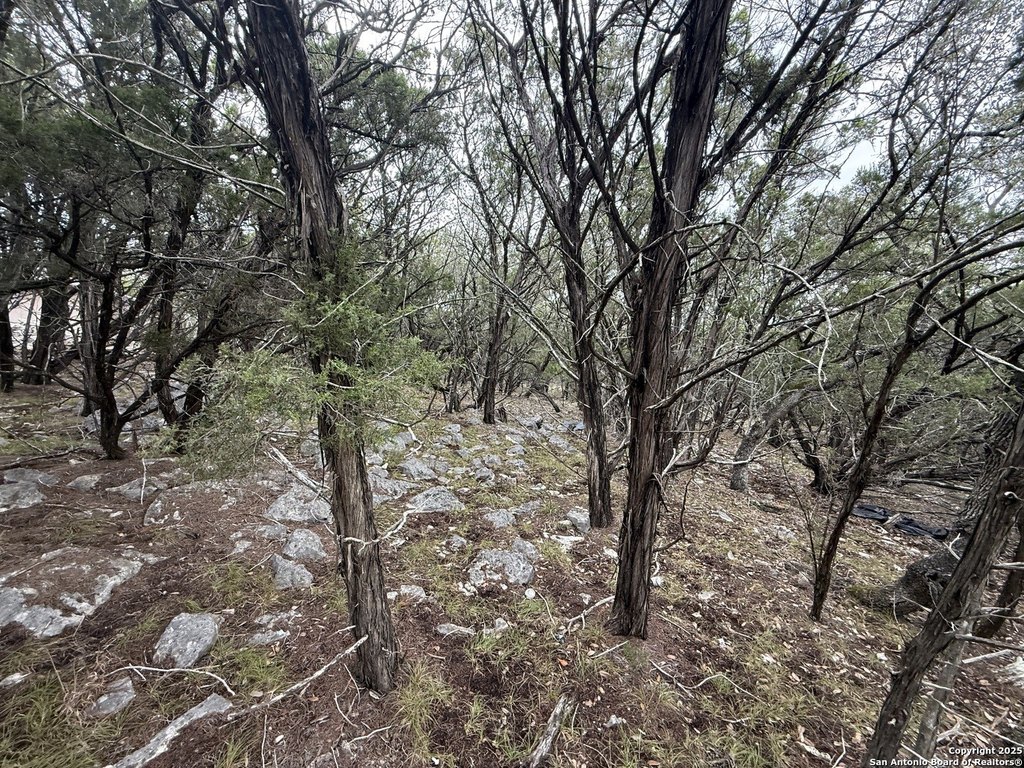 Picture 4