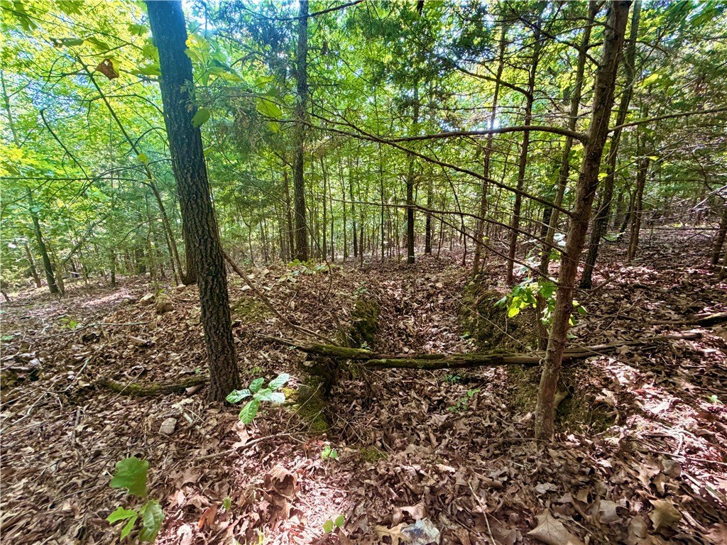 Picture 25