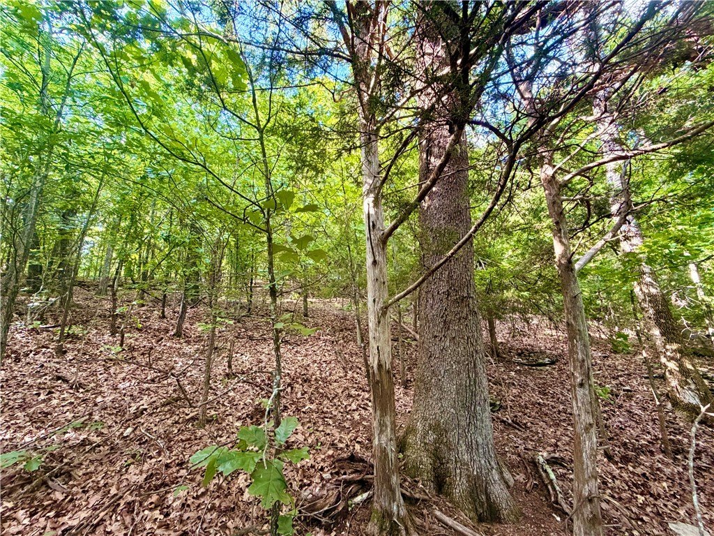 Picture 10