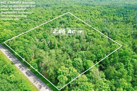 Wooded Recreation Land Parcel
