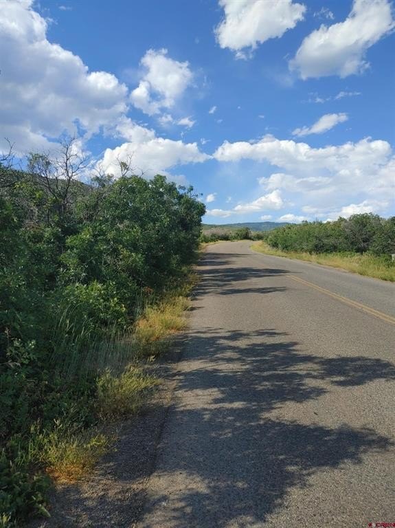 Land in Cedaredge, Colorado