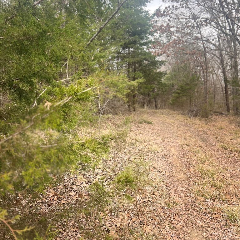 Picture 8