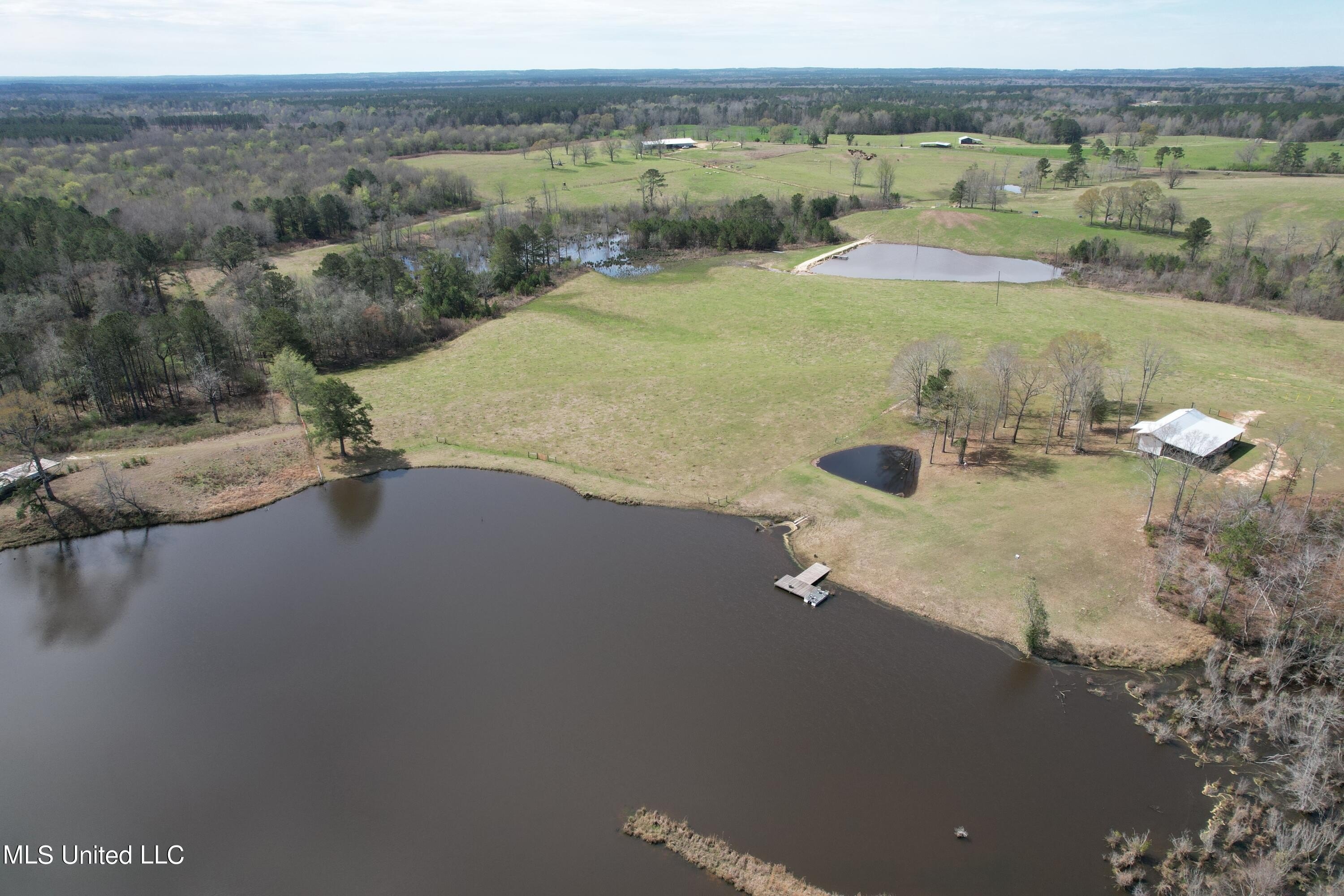Jasper County Cattle Ranch