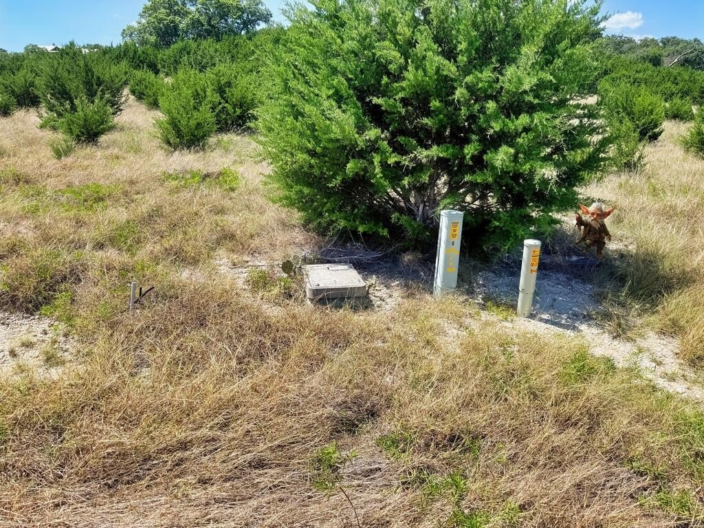 Picture 15