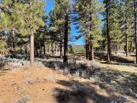 Grizzly Ranch Golf Homesite