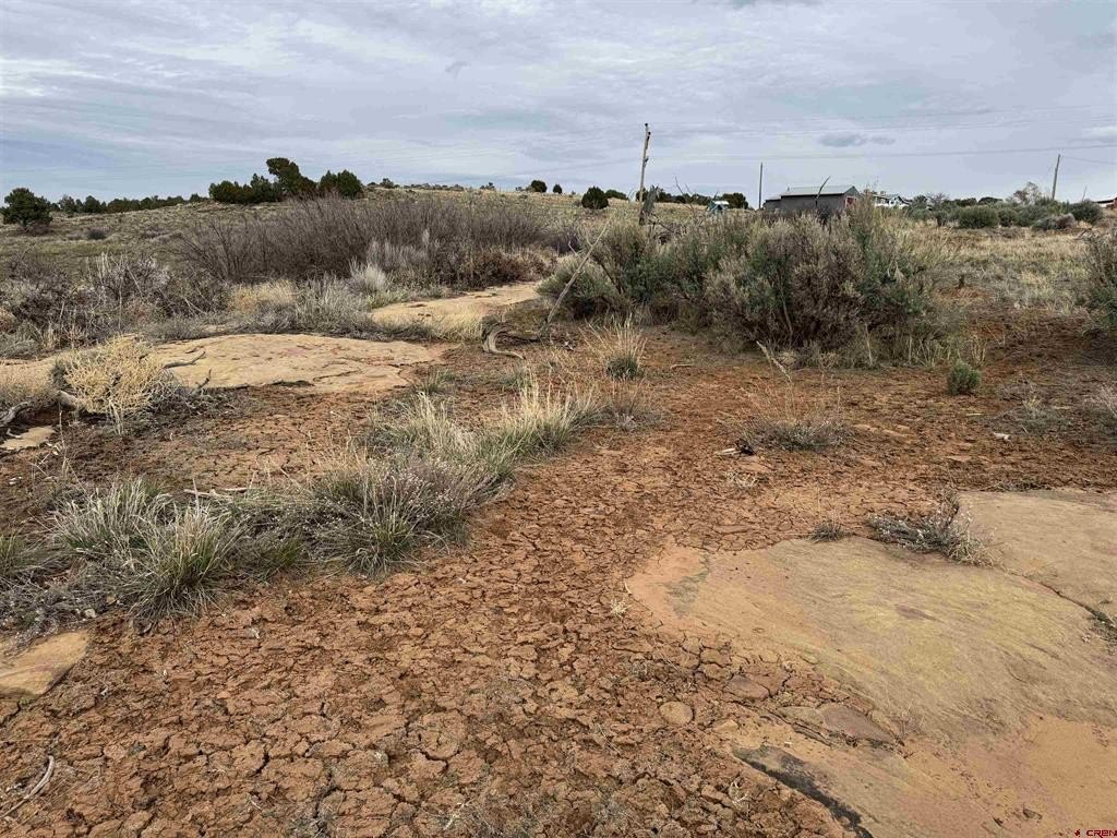 Picture 18