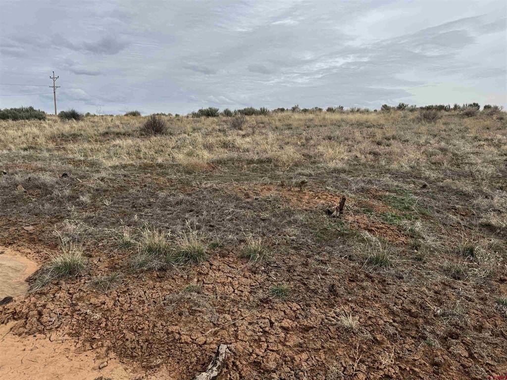 Picture 20