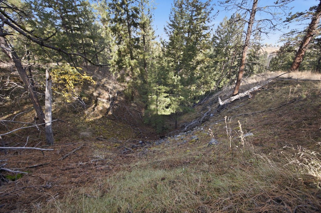 Picture 28
