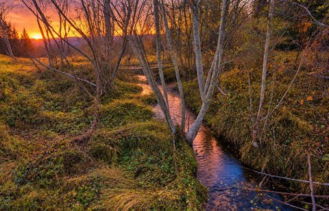 Land, Hamilton, MT