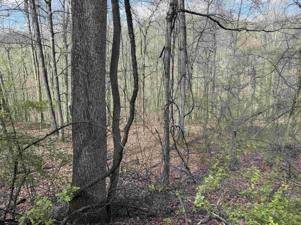 Picture 17