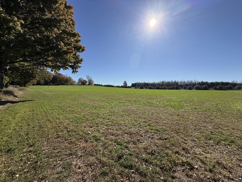 Land, Marshall, MI