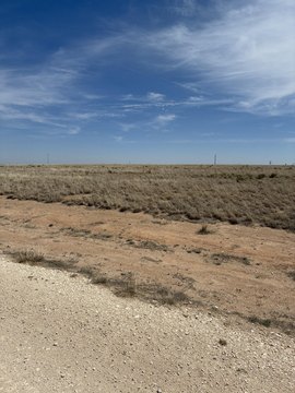 LAND - Levelland, TX