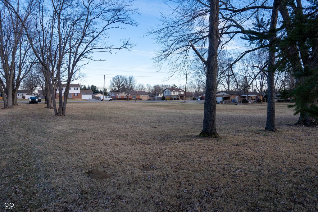 Picture 11